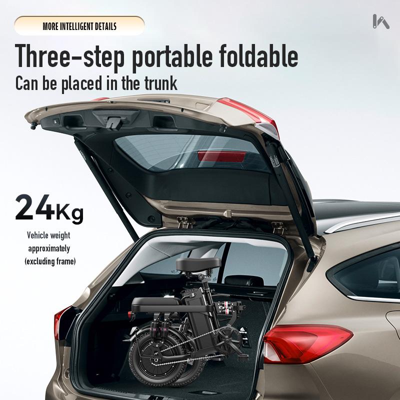 Compact E Bike