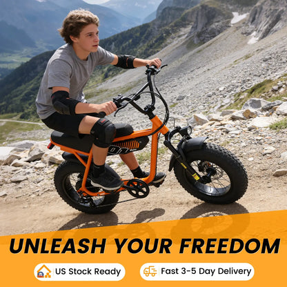 1500W Electric Bike