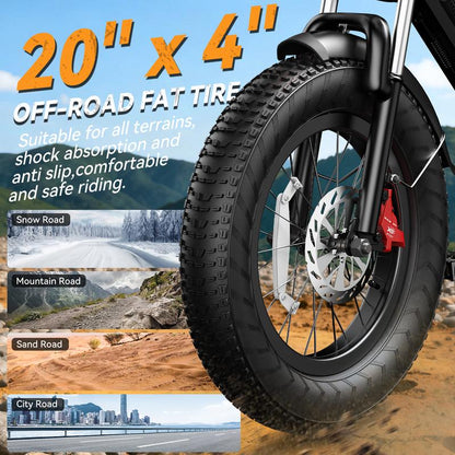 YOULON Electric Bike
