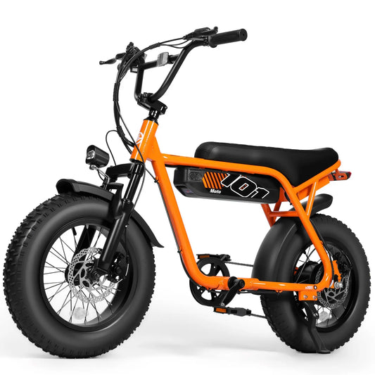 1500W Electric Bike