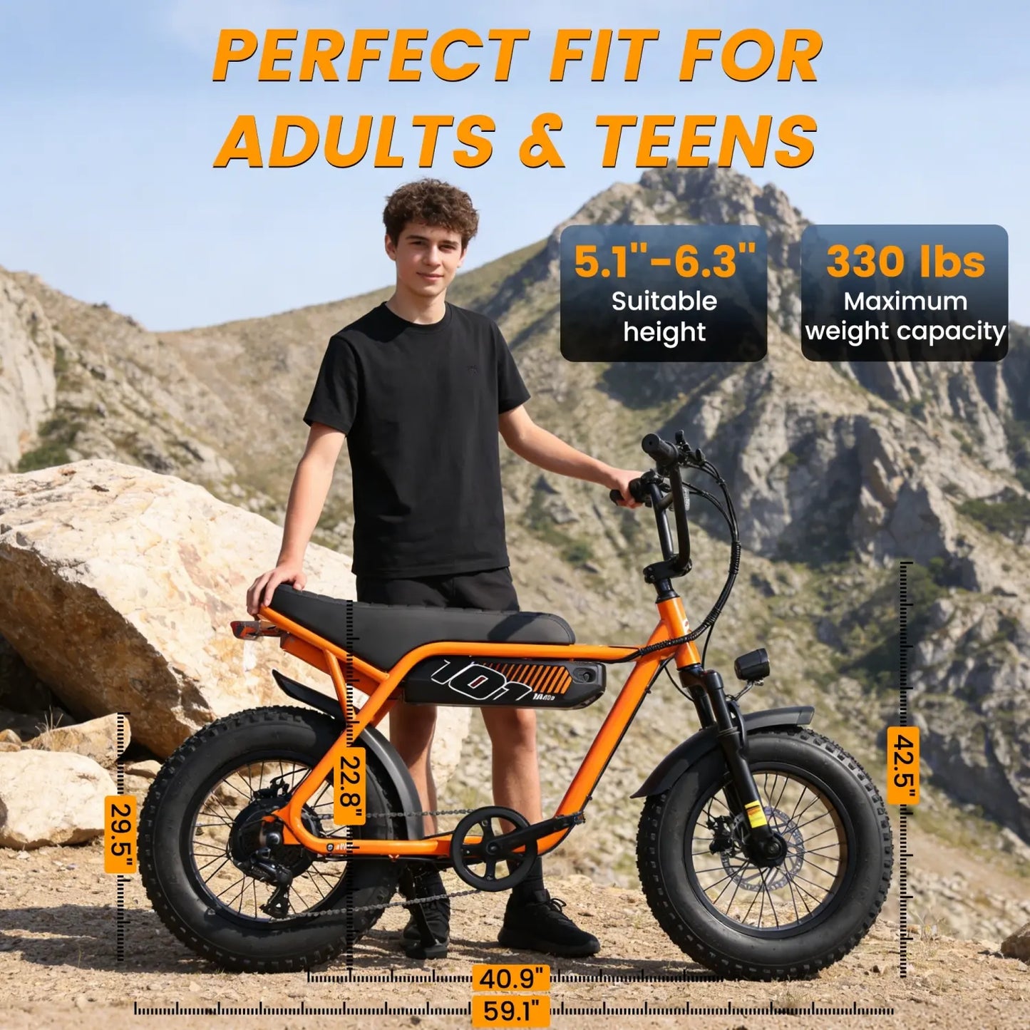 1500W Electric Bike