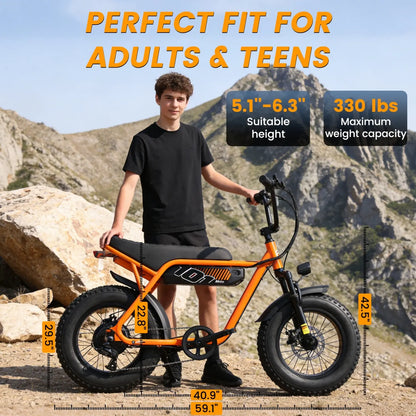 1500W Electric Bike